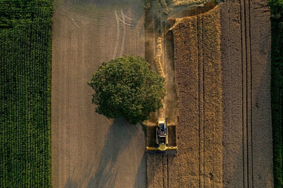 Photo Yield farming: crops
Staking: tree